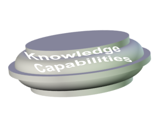 Knowledge  Capabilities
